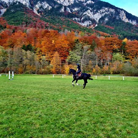 Muehle In Der Pferdewelt Reichenau Apartment Bagian luar foto