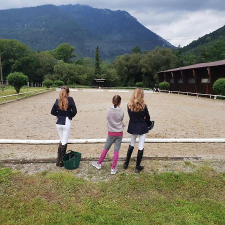 Muehle In Der Pferdewelt Reichenau Apartment Bagian luar foto