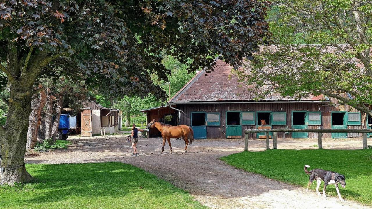 Muehle In Der Pferdewelt Reichenau Apartment Bagian luar foto
