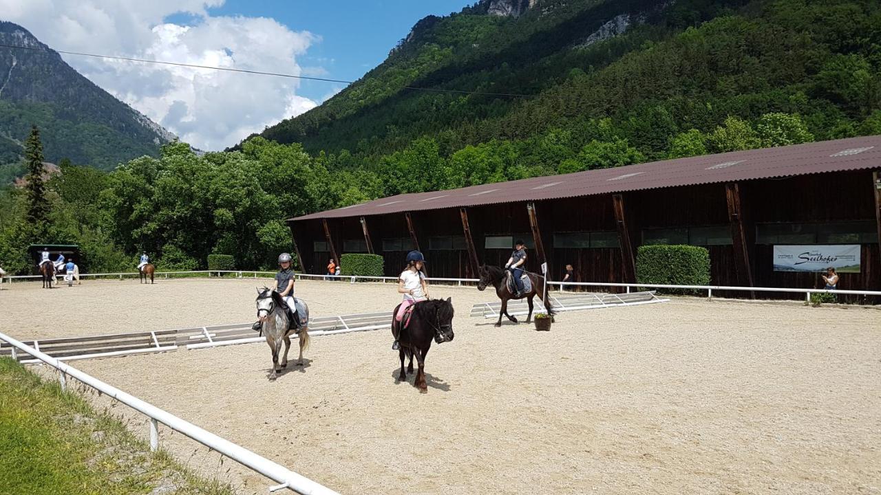 Muehle In Der Pferdewelt Reichenau Apartment Bagian luar foto